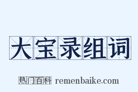 大宝录组词是什么意思的图片